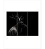 black White Monochrome Bull Elk Printed Framed Wall Art Panels ( Set Of 3)
