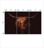 Black Highland Cow Panels Canvas Wall Art Panels ( Set Of 3)