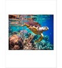 Blue Green Vivid Sea Life Printed Framed Wall Art Panels ( Set Of 3)
