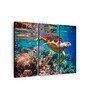 Blue Green Vivid Sea Life Printed Framed Wall Art Panels ( Set Of 3)