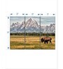 Green Beige Bull Bison In Grand Teton Printed Framed Wall Art Panels ( Set Of 3)