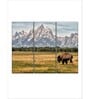 Green Beige Bull Bison In Grand Teton Printed Framed Wall Art Panels ( Set Of 3)