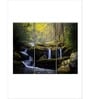 Green Stream In The Smokies Panels Canvas Wall Art Panels ( Set Of 3)