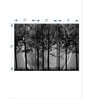 Grey Black Dark Forest Printed Framed Wall Art Panels ( Set Of 3)