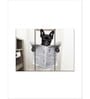 Grey Black Funny Bathroom French Bulldog Printed Framed Wall Art Panels ( Set Of 3)