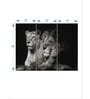 Grey Black Lion And Lioness Mates Printed Framed Wall Art Panels ( Set Of 3)
