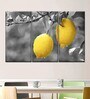 Grey Yellow Lemons Pop Printed Framed Wall Art Panels ( Set Of 3)
