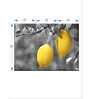 Grey Yellow Lemons Pop Printed Framed Wall Art Panels ( Set Of 3)
