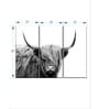 White Black Highland Cow Framed Wall Art Panels ( Set Of 3)