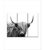 White Black Highland Cow Framed Wall Art Panels ( Set Of 3)