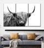 White Black Highland Cow Framed Wall Art Panels ( Set Of 3)