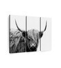 White Black Highland Cow Framed Wall Art Panels ( Set Of 3)