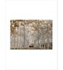 White Gold-Toned Printed Framed Wall Art Panels ( Set Of 3)