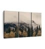 White Green Foggy Banff National Park Wall Art Panels ( Set Of 3)