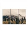 White Green Foggy Banff National Park Wall Art Panels ( Set Of 3)