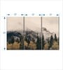 White Green Foggy Banff National Park Wall Art Panels ( Set Of 3)