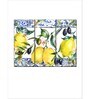 White Yellow Lemons And Olives Framed Wall Art Panels ( Set Of 3)