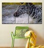 Black White Zebra Wall Painting ( Set Of 3)