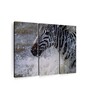 Black White Zebra Wall Painting ( Set Of 3)
