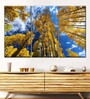 Blue Yellow Leafed Aspens Painting Wall Art Panels ( Set Of 3)