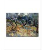 Blue Yellow Olive Trees 1889 Painting Wall Art Panels ( Set Of 3)