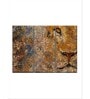Brown Barbary Lion Wall Art Panels ( Set Of 3)