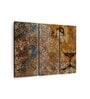 Brown Barbary Lion Wall Art Panels ( Set Of 3)