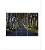 Green Blue The Dark Hedges Painting Wall Art Panels ( Set Of 3)
