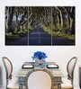 Green Blue The Dark Hedges Painting Wall Art Panels ( Set Of 3)
