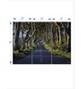 Green Blue The Dark Hedges Painting Wall Art Panels ( Set Of 3)