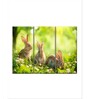 Green Brown Rabbits
