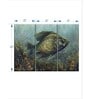 Green Black Crappie Painting Wall Art Panels ( Set Of 3)