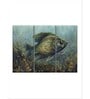 Green Black Crappie Painting Wall Art Panels ( Set Of 3)