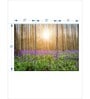 Green Forest Printed Framed Wall Art Panels ( Set Of 3)