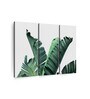 Green Thick Banana Leaves Printed Framed Wall Art Panels ( Set Of 3)