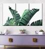 Green Thick Banana Leaves Printed Framed Wall Art Panels ( Set Of 3)