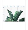 Green Thick Banana Leaves Printed Framed Wall Art Panels ( Set Of 3)