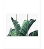 Green Thick Banana Leaves Printed Framed Wall Art Panels ( Set Of 3)
