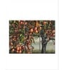 Grey Green A Preponderance Of Pips Wall Art Panels ( Set Of 3)