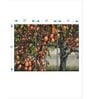 Grey Green A Preponderance Of Pips Wall Art Panels ( Set Of 3)