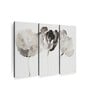 Grey Trio In Light Printed Framed Wall Art Panels ( Set Of 3)
