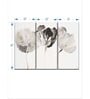 Grey Trio In Light Printed Framed Wall Art Panels ( Set Of 3)