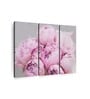 Pink Grey Peonies Painting Wall Art Panels ( Set Of 3)