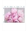 Pink Grey Peonies Painting Wall Art Panels ( Set Of 3)
