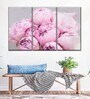 Pink Grey Peonies Painting Wall Art Panels ( Set Of 3)