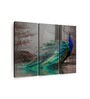 Green Blue Peacock Printed Wall Art Panels ( Set Of 3)
