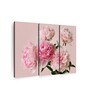 Pink Peonies Bouquet Painting Frame ( Set Of 3)