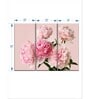 Pink Peonies Bouquet Painting Frame ( Set Of 3)