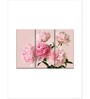 Pink Peonies Bouquet Painting Frame ( Set Of 3)