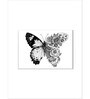 White Black Butterfly In Bloom Framed Wall Painting